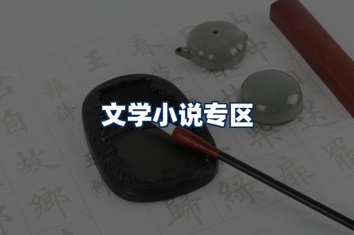 文学小说PDF展示